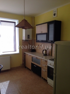 Rent a two-bedroom apartment on the street Pasichna