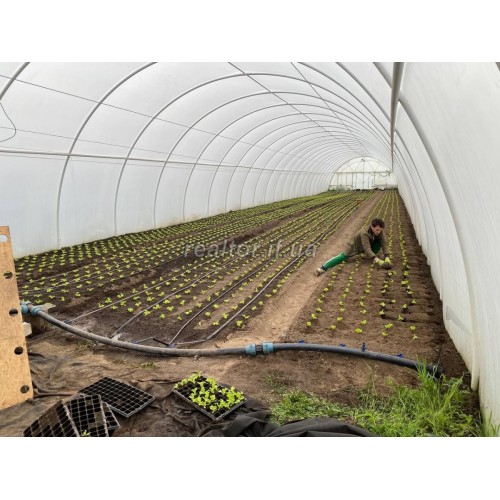 Перспективный участок с теплицами для успешного агробизнеса  Ивано-Франковская  Тисменицький район  с. Узин 