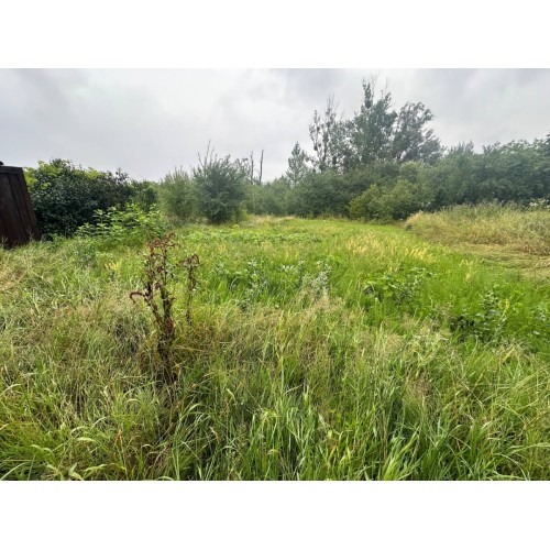 Продажа дачного участка в СТ Жилловик-1 в селе Павловка  Ивано-Франковская  Тисменицький район  с. Павлівка 