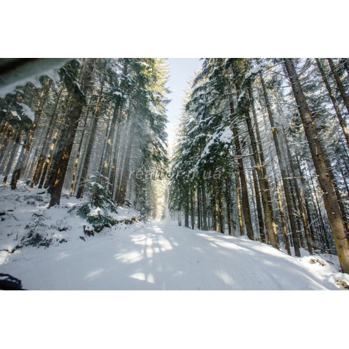 Adrenalin Hotel und Restaurantkomplex zum Verkauf in den Karpaten  Закарпатська  Rajon Rakhiv  Dragobrat Skigebiet 