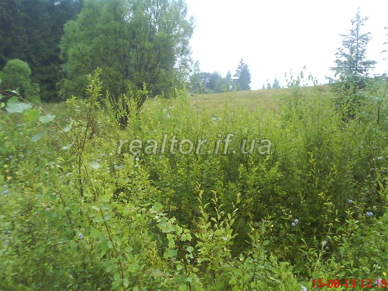 Prodayetsya_chudova_dilyanka_16sot_v_Karpatakh_bilya_Yablunetskoho_perevalu_8700_10_1437150947.jpg