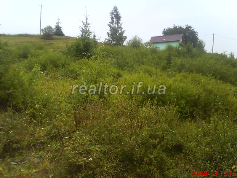 Prodayetsya_chudova_dilyanka_16sot_v_Karpatakh_bilya_Yablunetskoho_perevalu_8700_6_1437150946.jpg