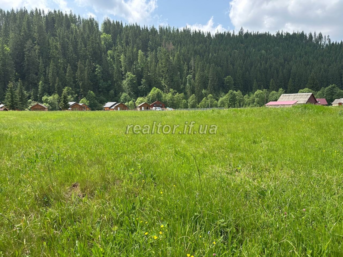 Vyhidna_propozytsiya_v_pershii_liniyi_dilyanka_v_Polyanytsi_poruch_z_Bukovelem_23866_15_1749566476.jpeg