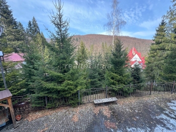 Budynok-dacha_v_Yaremchi_z_remontom_ta_meblyamy_v_samomu_lisi_23668_47_1742402528.jpeg