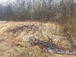 Дачна ділянка в садовому товаристві Буровик