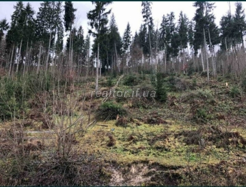 Dilyanka_poruch_z_HK_Bukovel_18086_3_1594216424.jpg