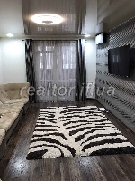 Luxurious apartment with furniture in the center of the city near the lake