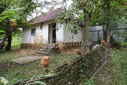 Idealna_dacha_dlya_vidpochynku_ta_rybalstva_z_usima_zruchnostyamy_na_livomu_berezi_burshtynskoho_vodoskhovyshcha_11372_32_1470638094.jpg