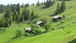 Haus zu verkaufen in Karpaten