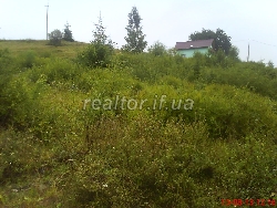 Prodayetsya_chudova_dilyanka_16sot_v_Karpatakh_bilya_Yablunetskoho_perevalu_8700_6_1437150946.jpg
