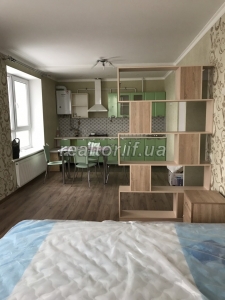 Продається квартира з сучасним євроремонтом та кухнею - студією в Калиновій Слободі