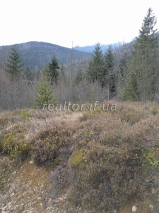 Prodayetsya_zemelna_dilyanka_v_Dolynskomu_raioni_selo_Myslivka_23466_0_1732648383.jpeg