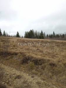 Prodayetsya_zemelna_dilyanka_v_Dolynskomu_raioni_selo_Myslivka_23466_10_1732648385.jpeg