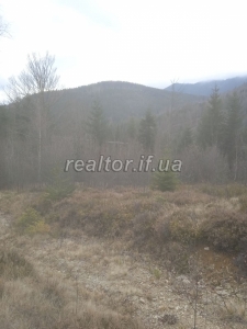 Prodayetsya_zemelna_dilyanka_v_Dolynskomu_raioni_selo_Myslivka_23466_11_1732648385.jpeg