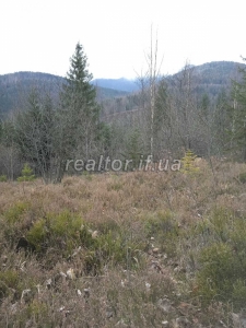 Prodayetsya_zemelna_dilyanka_v_Dolynskomu_raioni_selo_Myslivka_23466_15_1732648386.jpeg