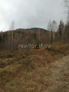 Prodayetsya_zemelna_dilyanka_v_Dolynskomu_raioni_selo_Myslivka_23466_1_1732648383.jpeg
