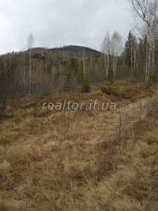 Prodayetsya_zemelna_dilyanka_v_Dolynskomu_raioni_selo_Myslivka_23466_2_1732648384.jpeg