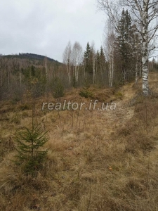 Prodayetsya_zemelna_dilyanka_v_Dolynskomu_raioni_selo_Myslivka_23466_3_1732648384.jpeg
