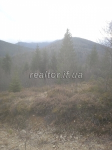 Prodayetsya_zemelna_dilyanka_v_Dolynskomu_raioni_selo_Myslivka_23466_4_1732648384.jpeg