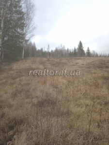 Prodayetsya_zemelna_dilyanka_v_Dolynskomu_raioni_selo_Myslivka_23466_5_1732648384.jpeg