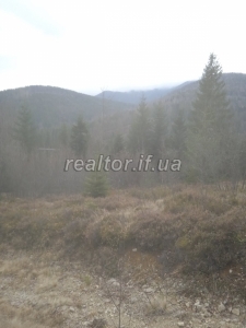 Prodayetsya_zemelna_dilyanka_v_Dolynskomu_raioni_selo_Myslivka_23466_7_1732648384.jpeg