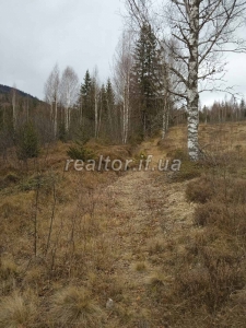 Prodayetsya_zemelna_dilyanka_v_Dolynskomu_raioni_selo_Myslivka_23466_9_1732648385.jpeg
