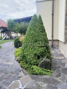 Prodazh_budynku_z_remontom_i_meblyamy_v_seli_Uhornyky_23756_0_1746015946.jpeg