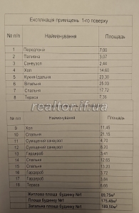 Prodazh_dupleksu_z_miskymy_komunikatsiyamy_v_seli_Vovchynets_vulytsya_Patriarkha_Volodymyra_23587_18_1740414098.jpeg