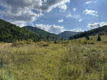 Sale of agricultural land in the village of Huta
