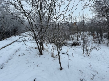 Sale of a plot of land in the Svitanok garden society in the village of Pidluzzhya
