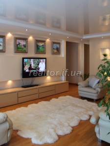 Modern apartment in the center with furniture and appliances