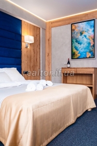 Vash_idealnyi_hotel_u_Karpatakh_Investuite_v_mriyu_sered_hir_23506_0_1734448533.jpeg
