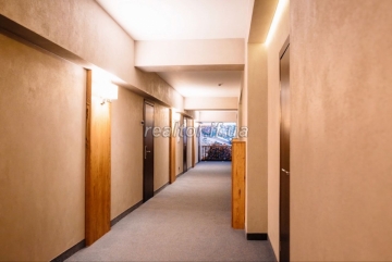Vash_idealnyi_hotel_u_Karpatakh_Investuite_v_mriyu_sered_hir_23506_10_1734448536.jpeg