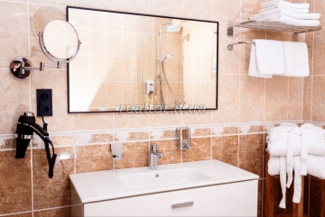Vash_idealnyi_hotel_u_Karpatakh_Investuite_v_mriyu_sered_hir_23506_1_1734448534.jpeg