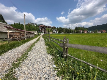 Vyhidna_propozytsiya_v_pershii_liniyi_dilyanka_v_Polyanytsi_poruch_z_Bukovelem_23866_5_1749566473.jpeg
