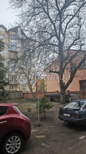 Zatyshna_kvartyra_v_tsentri_z_vydom_na_lypovu_aleyu_na_pochatku_vulytsi_Shevchenka_23481_18_1733225972.jpeg