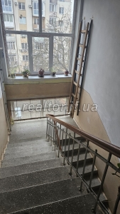 Zatyshna_kvartyra_v_tsentri_z_vydom_na_lypovu_aleyu_na_pochatku_vulytsi_Shevchenka_23481_4_1733225970.jpeg