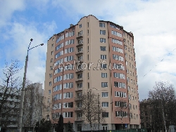 Велика дворівнева квартира-сирець в центрі міста під елітне житло чи бізнес по вулиці Сахарова