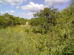 Земельна ділянка біля автобазару